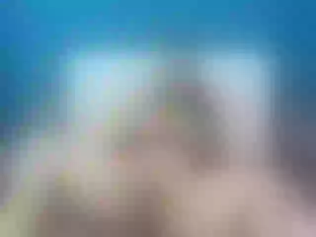 Live sex webcam photo for DreamButtocks #255733500