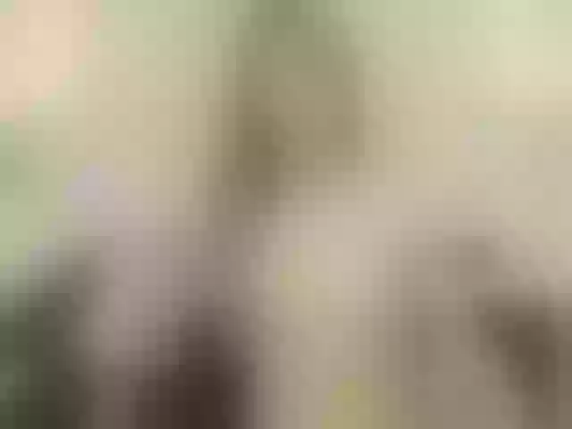 Live sex webcam photo for LindsaySummer #241059414