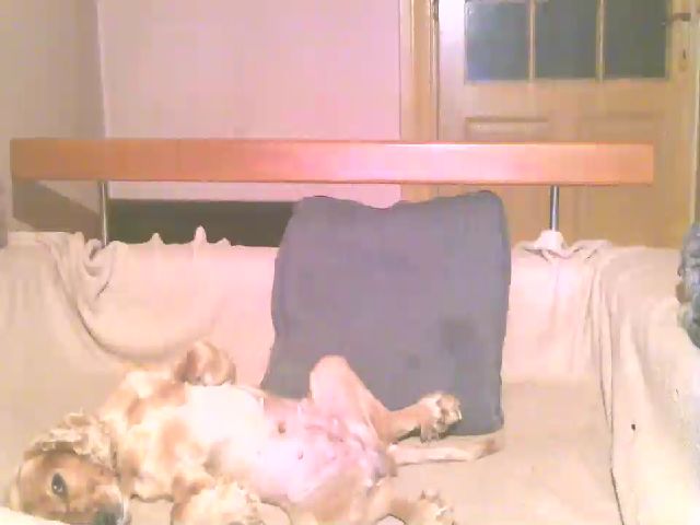 Live sex webcam photo for Lili_Mari69 #252873761