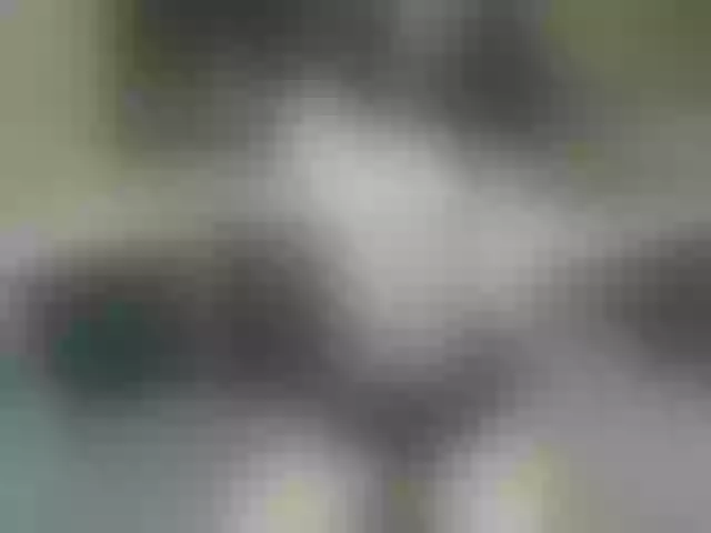 Live sex webcam photo for EmilyDee #241440053