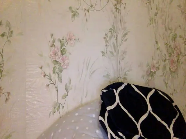 Live sex webcam photo for JolyBoss #258313387