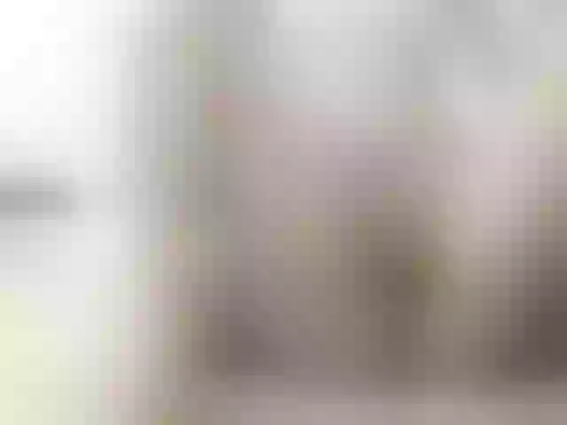 Live sex webcam photo for Tom-and-Vicky #241476683
