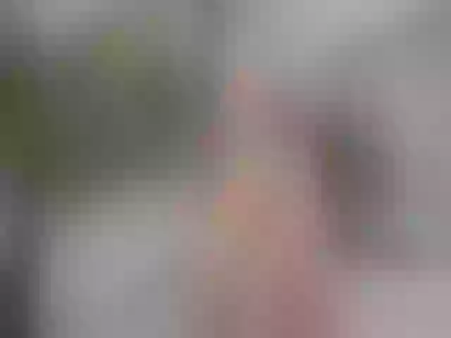 Live sex webcam photo for Anahi_18 #255906417