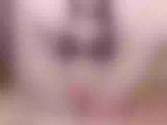 Live sex webcam photo for AfinaVI #241187736