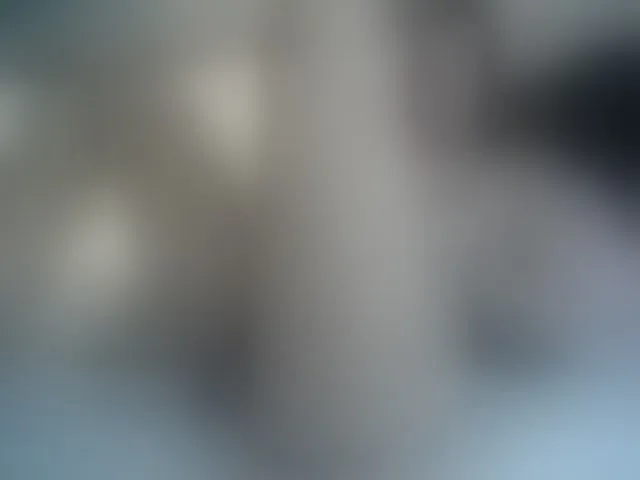 Live sex webcam photo for SUSYBALE #253809364