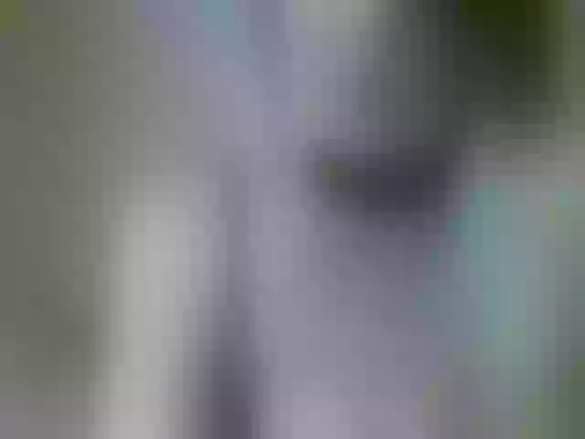 Live sex webcam photo for LadaSt #248505911