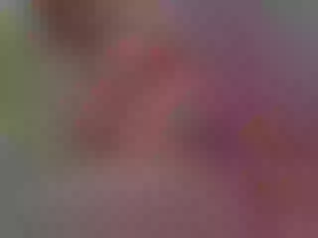 Live sex webcam photo for blondebab3 #250241360