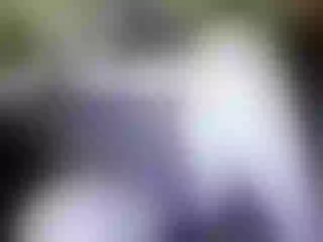 Live sex webcam photo for marusa0 #246319514