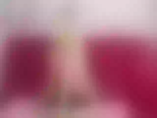 Live sex webcam photo for Lerry_Teen #263019573