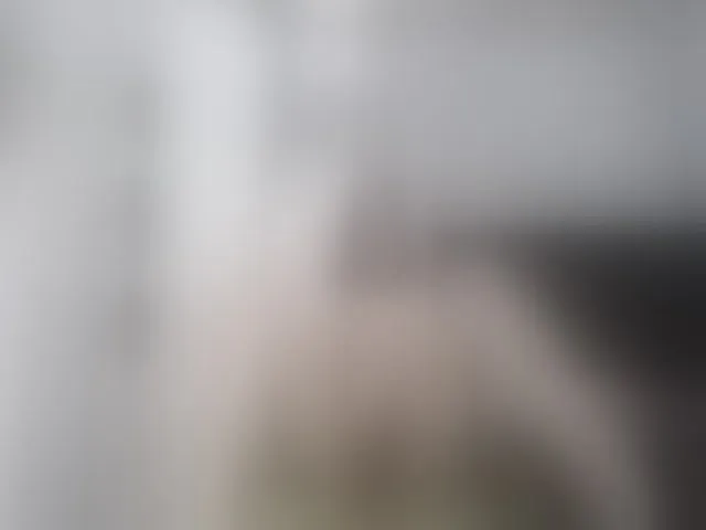Live sex webcam photo for Girasolwalton #262190082