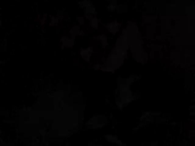 Live sex webcam photo for GuiltyKitty #258399288