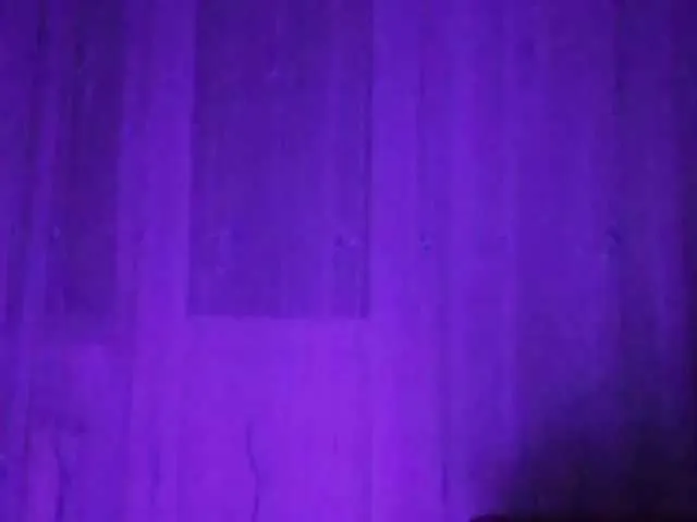 Live sex webcam photo for CNPEHA #240934227