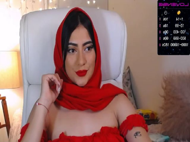 Live sex webcam photo for Aliajeddah #253613938