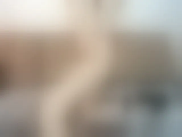 Live sex webcam photo for Jessy4Lovex #262946294