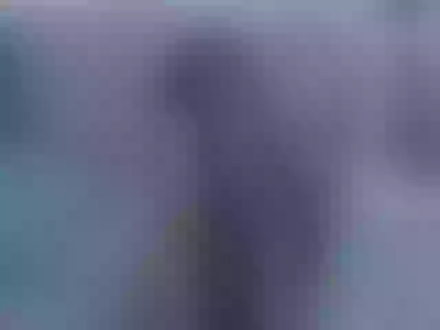 Live sex webcam photo for Rexahot #255067517