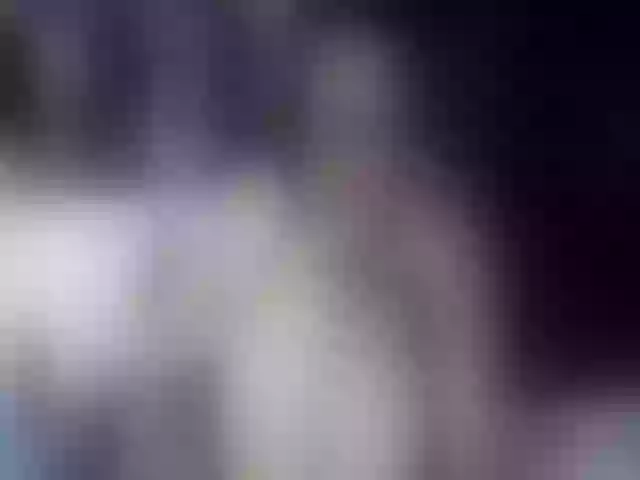 Live sex webcam photo for Lulubigtitts #262752675