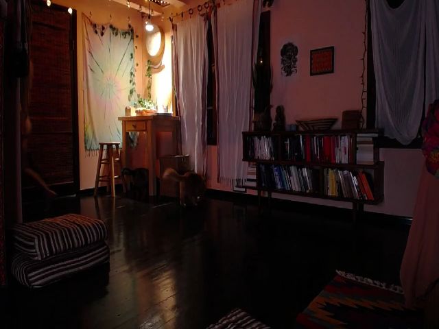 Live sex webcam photo for minabeam #261808021