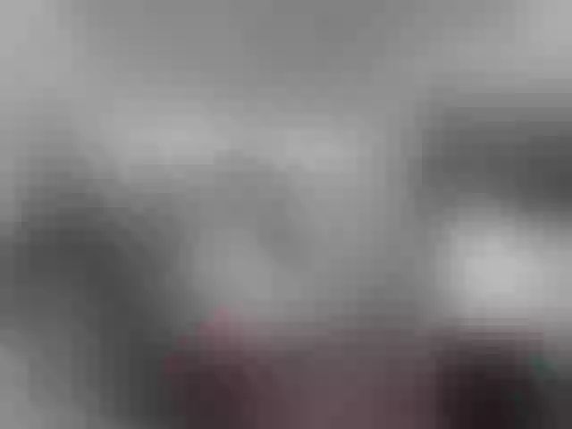 Live sex webcam photo for Girasolwalton #255759069