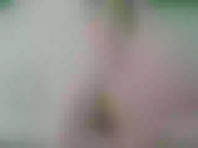 Live sex webcam photo for PureEmanuelle #261628072