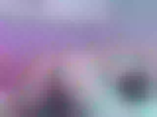 Live sex webcam photo for lizzarobert #250275647