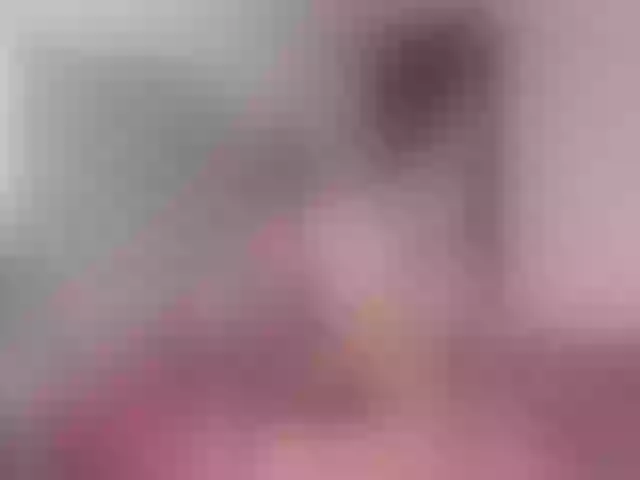 Live sex webcam photo for NikoraStar #255687542