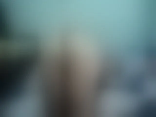 Live sex webcam photo for Girlhornyx20 #260155162