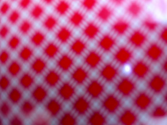 Live sex webcam photo for XMirrabbellax #256937475