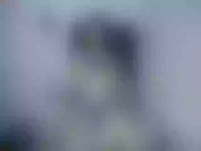Live sex webcam photo for Darlaa__doll #265407568