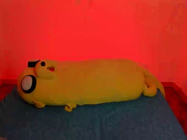 Live sex webcam photo for Evee_moonz #255591505