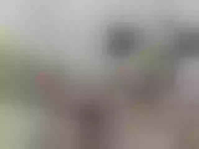 Live sex webcam photo for pugglelover #258374684