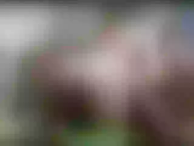 Live sex webcam photo for alisablond #250454847