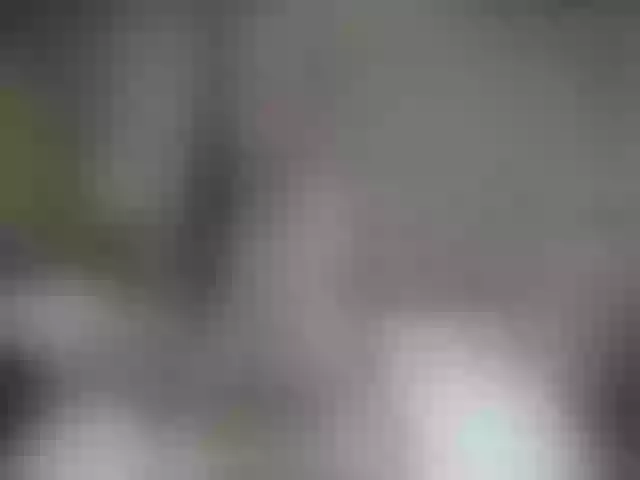 Live sex webcam photo for QuinnGray #252410913