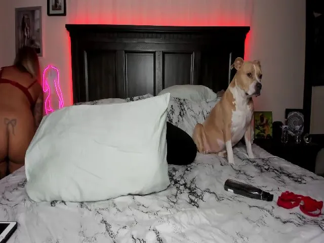 Live sex webcam photo for Rose_Kitten #261051984