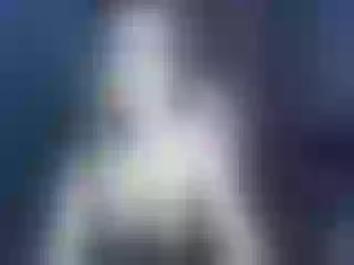 Live sex webcam photo for Ellaquality #251828342