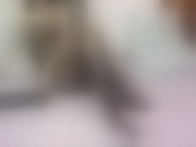 Live sex webcam photo for KammyJoe #255193876