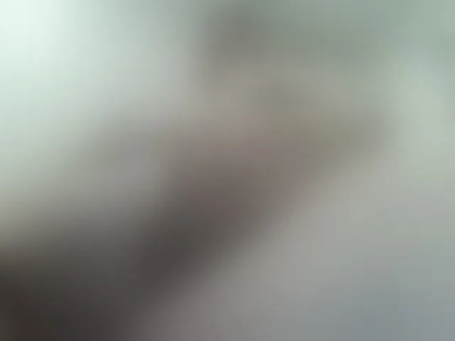 Live sex webcam photo for pugglelover #260141849