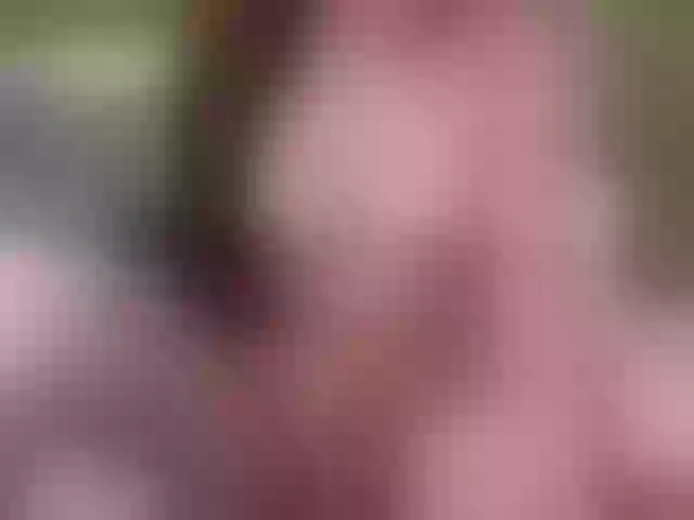 Live sex webcam photo for JessieJacobs #241136679