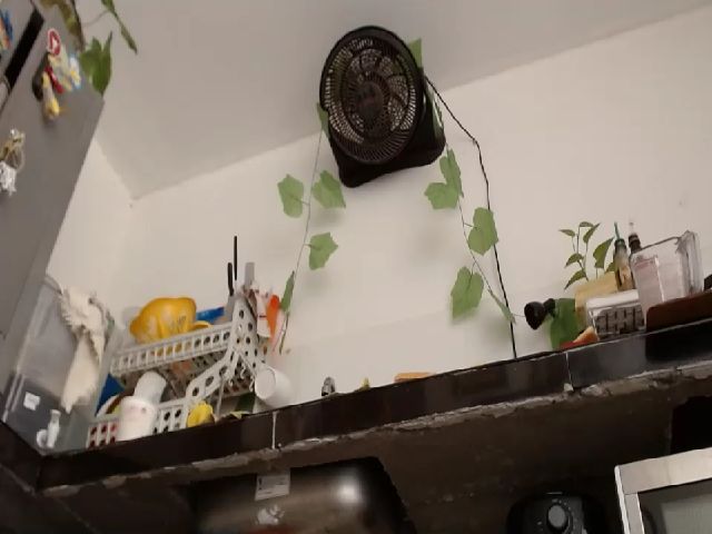 Live sex webcam photo for Estelamaris #254820960