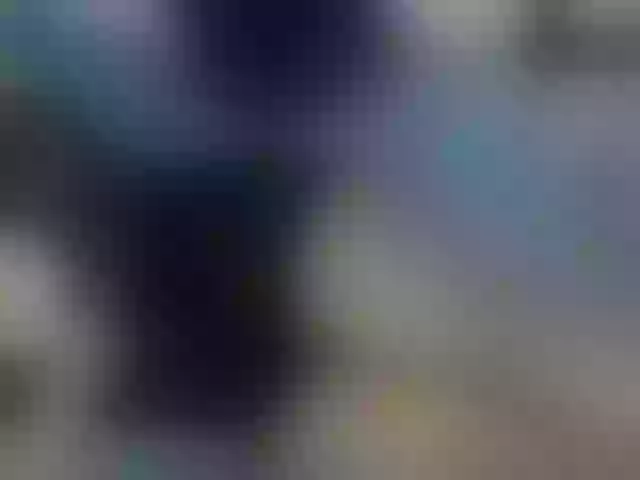 Live sex webcam photo for AVladica #252670258