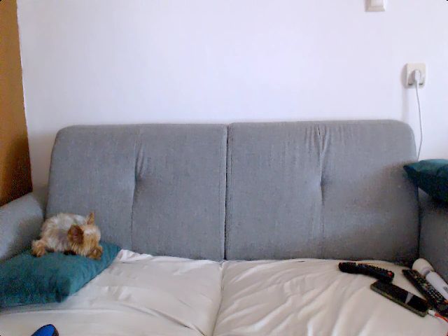 Live sex webcam photo for Stephycute #258603815