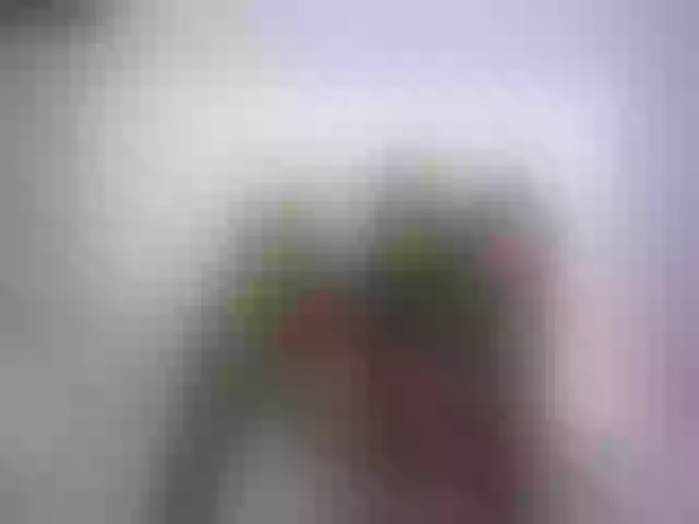 Live sex webcam photo for NoemiDavis #254556193