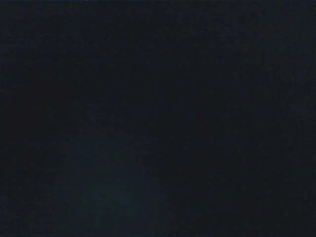 Live sex webcam photo for fox-seks #241210085