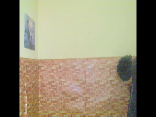 Live sex webcam photo for JiMiola #263906433