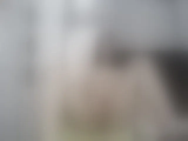 Live sex webcam photo for Girasolwalton #262090402