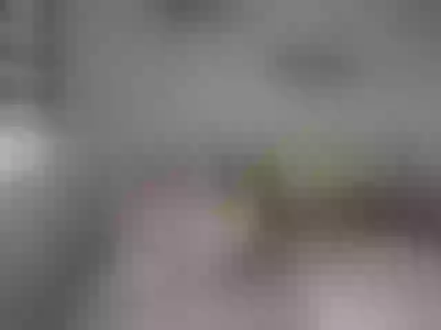 Live sex webcam photo for jennifer1177 #262659426