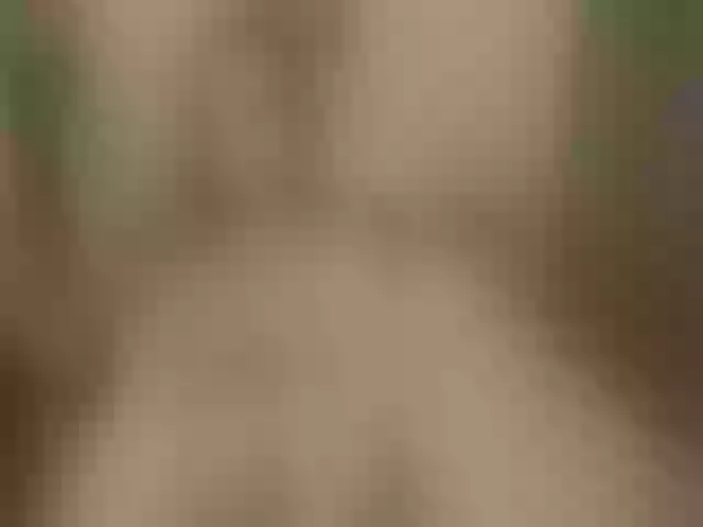 Live sex webcam photo for LafWelch #255299402