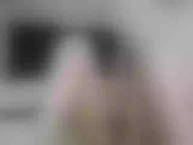 Live sex webcam photo for girasol-walto #246650801