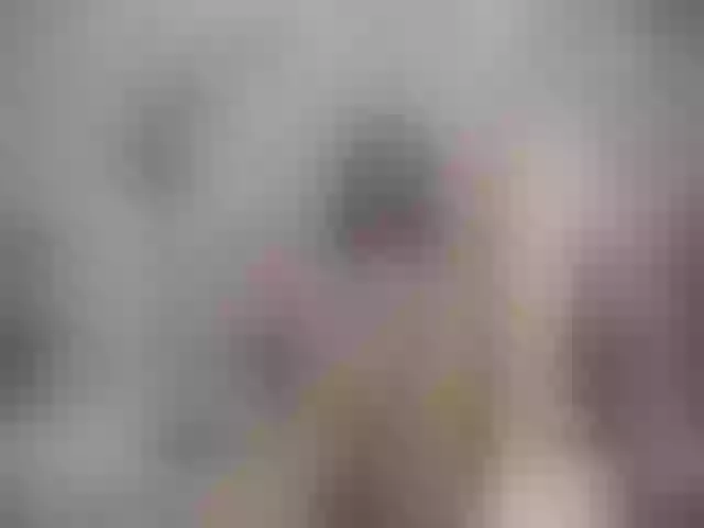Live sex webcam photo for SexyAshley2x #259188052