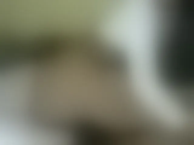 Live sex webcam photo for insanebooty79 #247595292