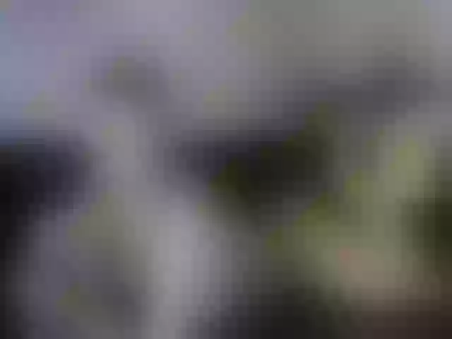 Live sex webcam photo for MyyDream #254578600